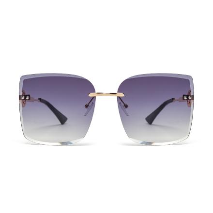 Premium 2206-C1 z etui