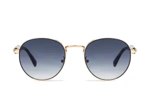 Premium 1180-C2 z etui