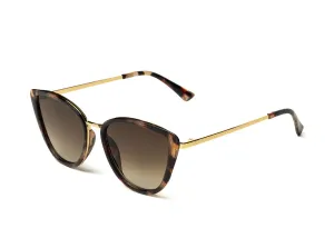 Exclusive Polaryzacja 3339-C2P z etui